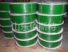 9I看片成人免费视频圆带